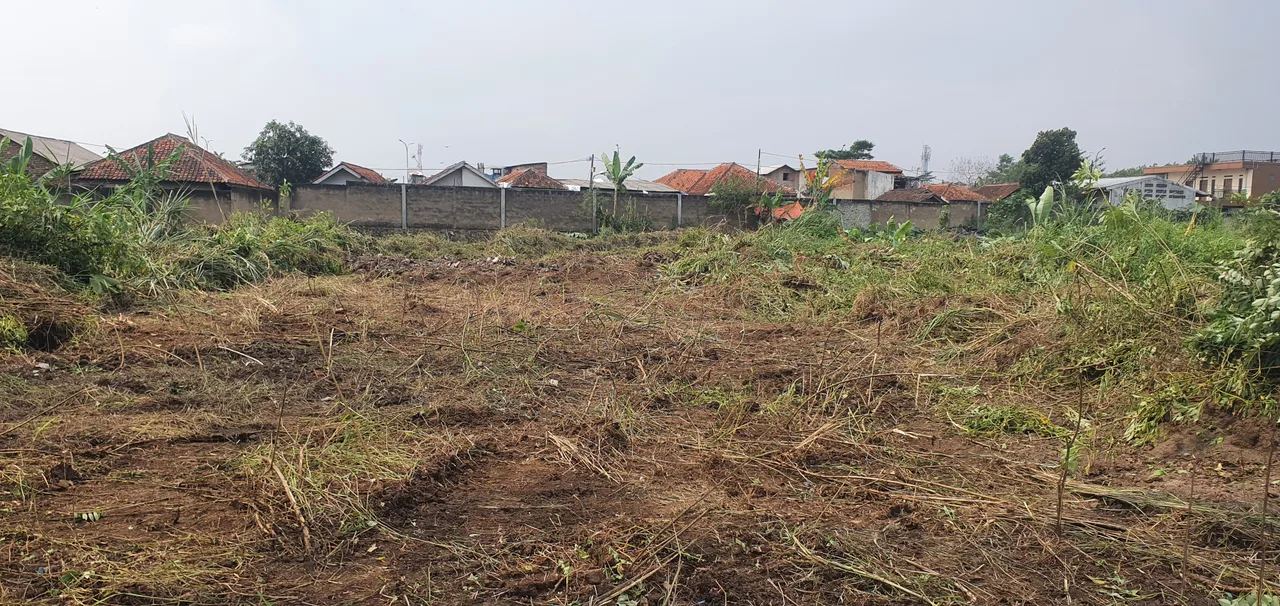 Pematangan lahan, cut and fill sebelum pondasi