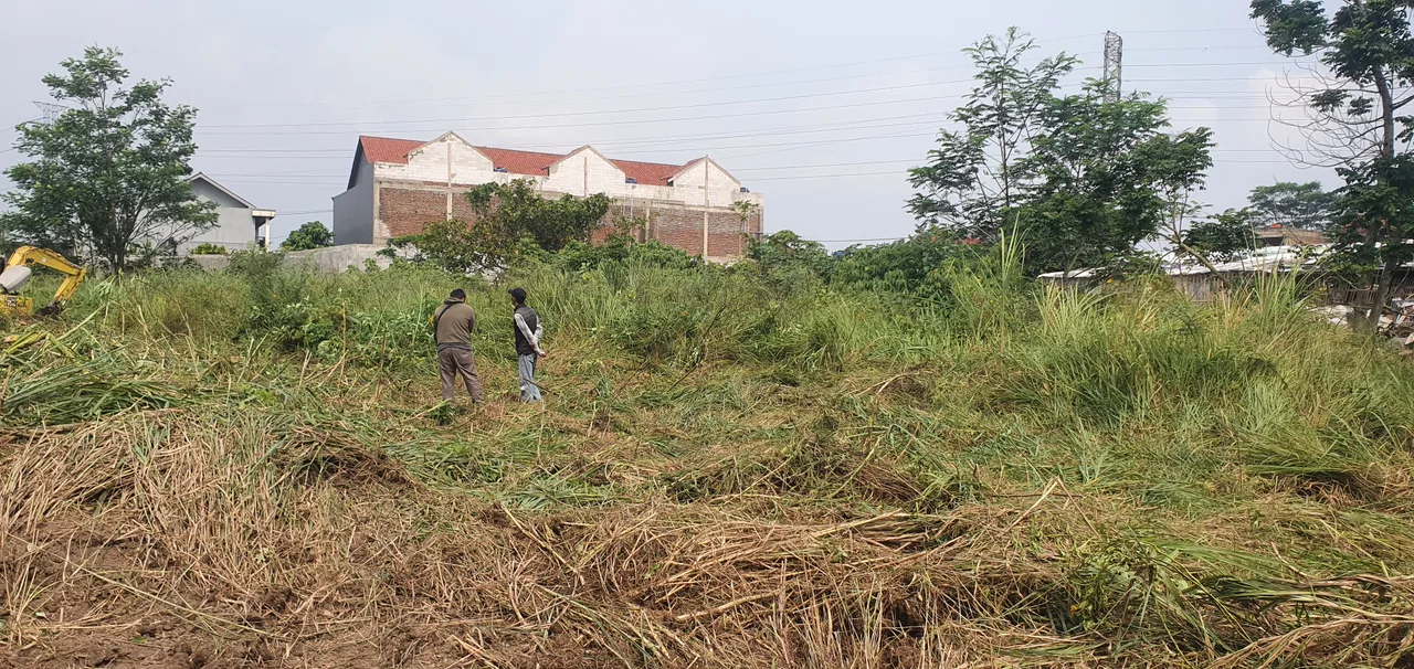 Pematangan lahan, cut and fill sebelum pondasi